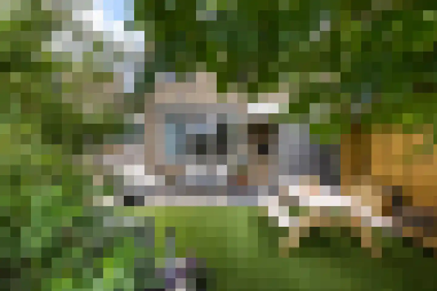 Noordernesse 5 Mijnsheerenland thumbnail 6