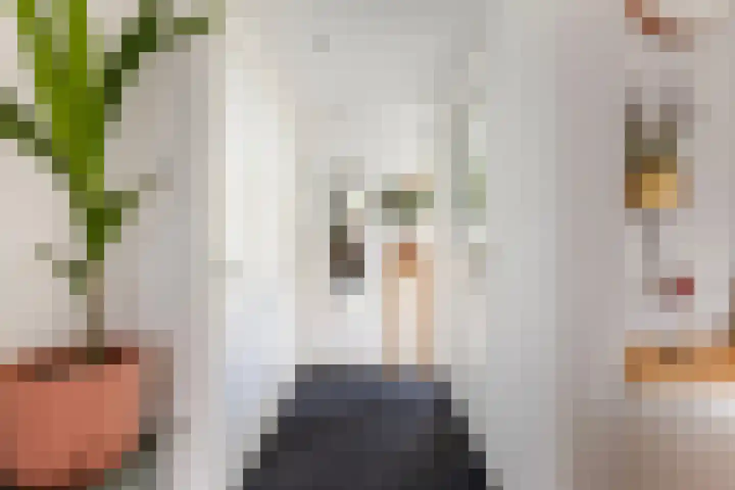 Noordernesse 5 Mijnsheerenland thumbnail 7