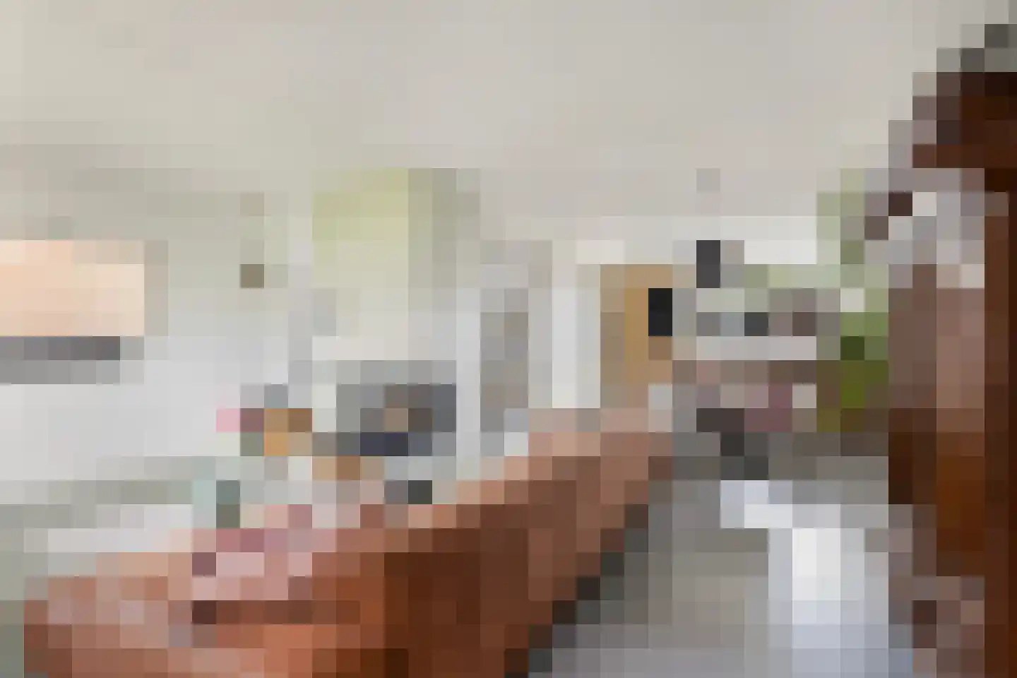 Noordernesse 5 Mijnsheerenland thumbnail 8