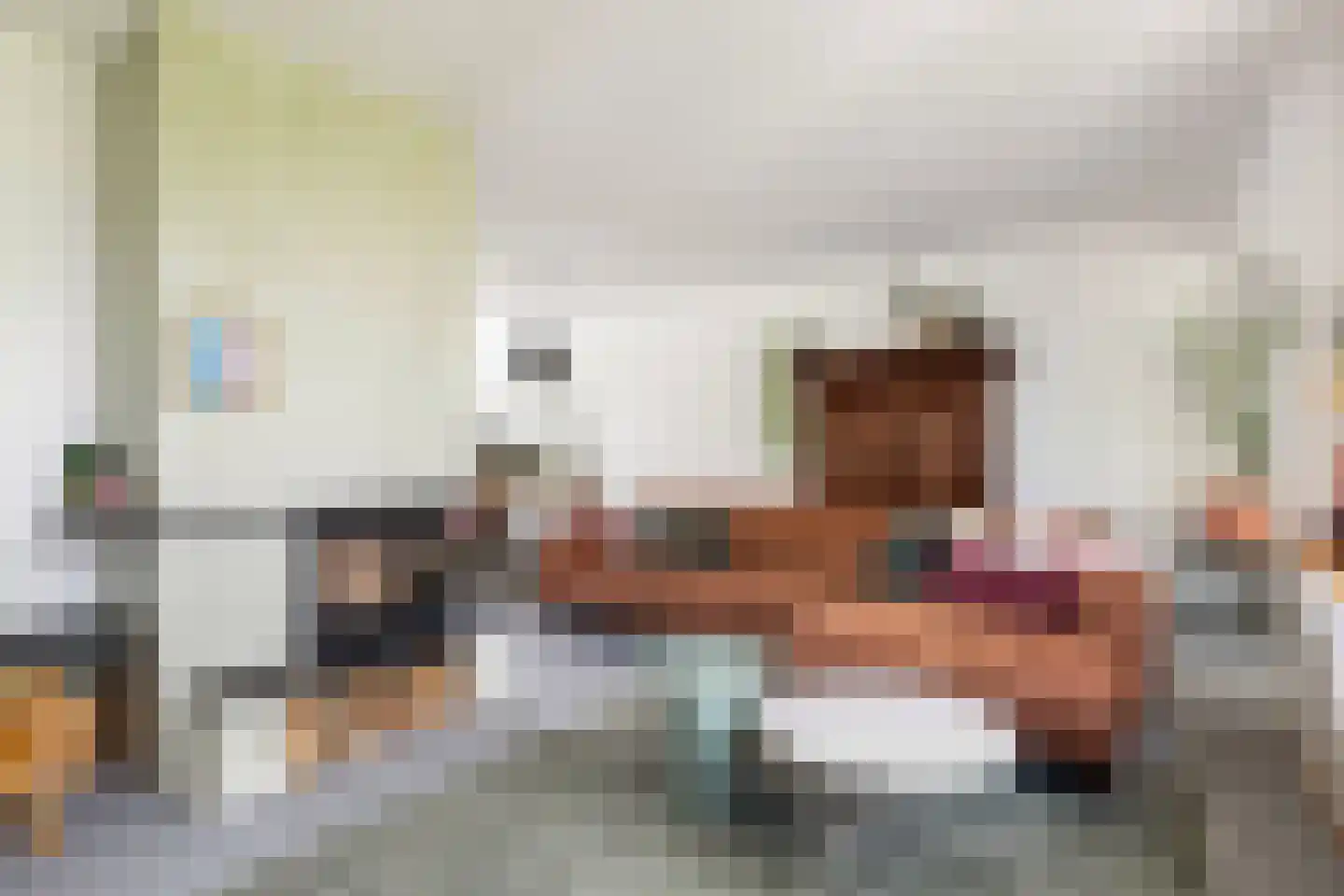 Noordernesse 5 Mijnsheerenland thumbnail 9