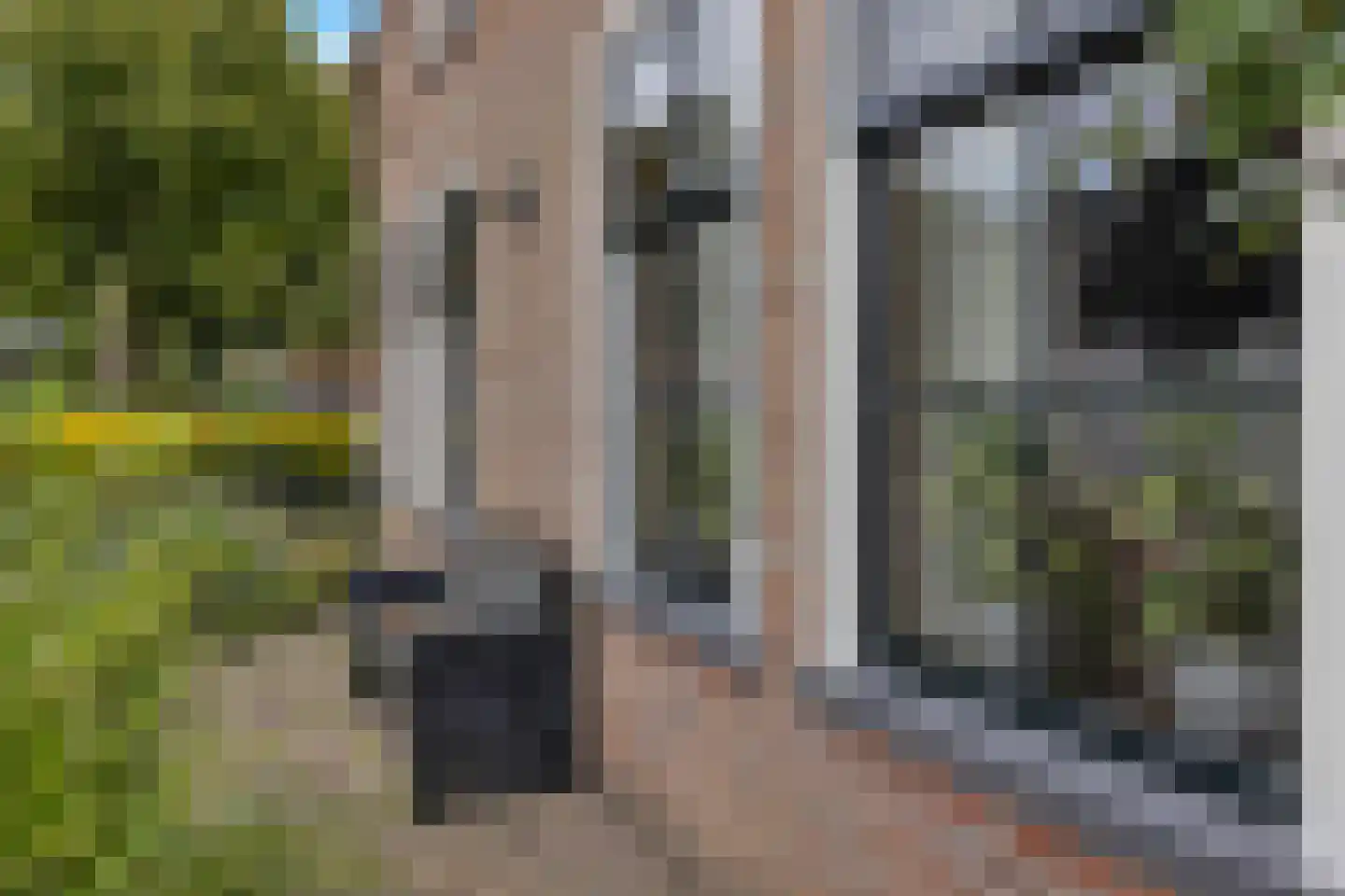 Noorderpad 1 Opperdoes thumbnail 11