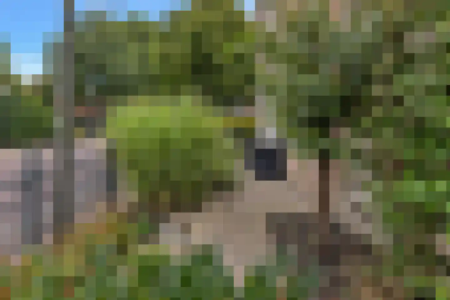 Noorderpad 1 Opperdoes thumbnail 12