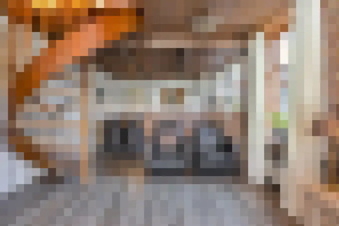 Noorderpad 1 Opperdoes thumbnail 22