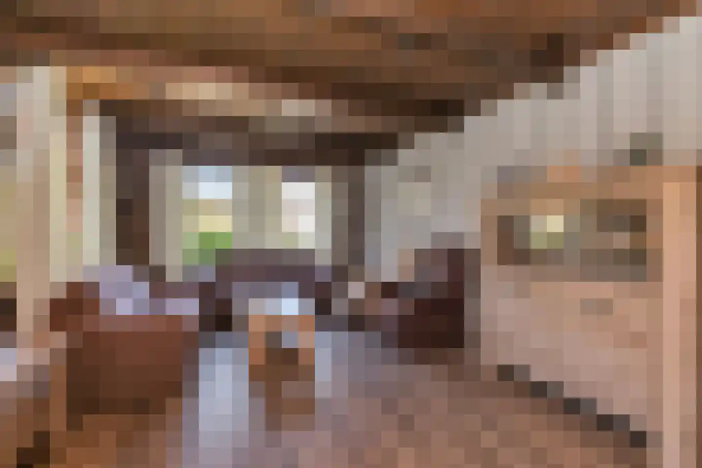 Noorderpad 1 Opperdoes thumbnail 26