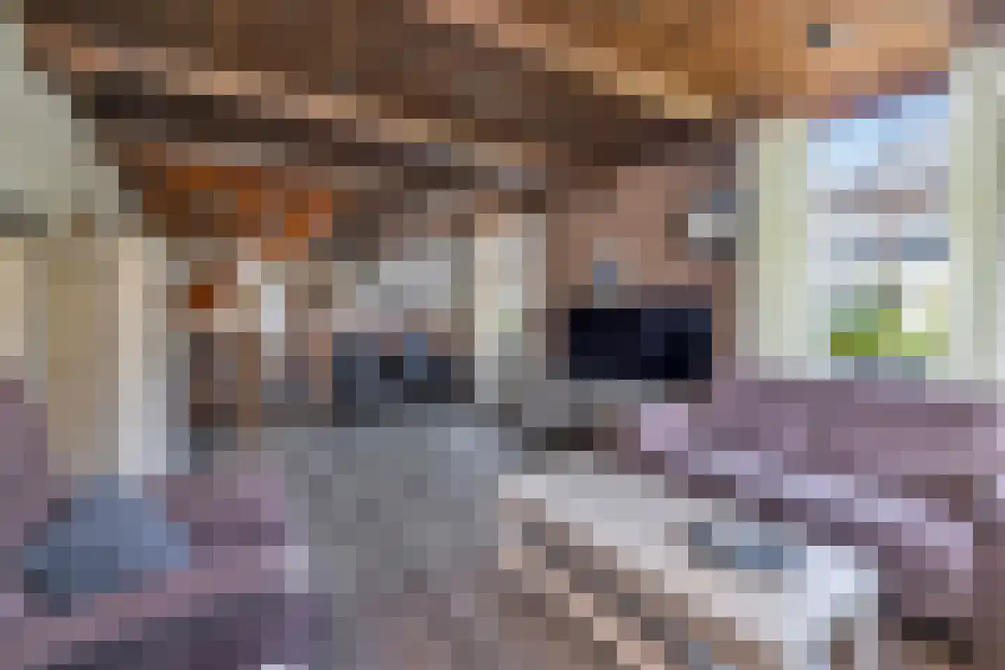 Noorderpad 1 Opperdoes thumbnail 27