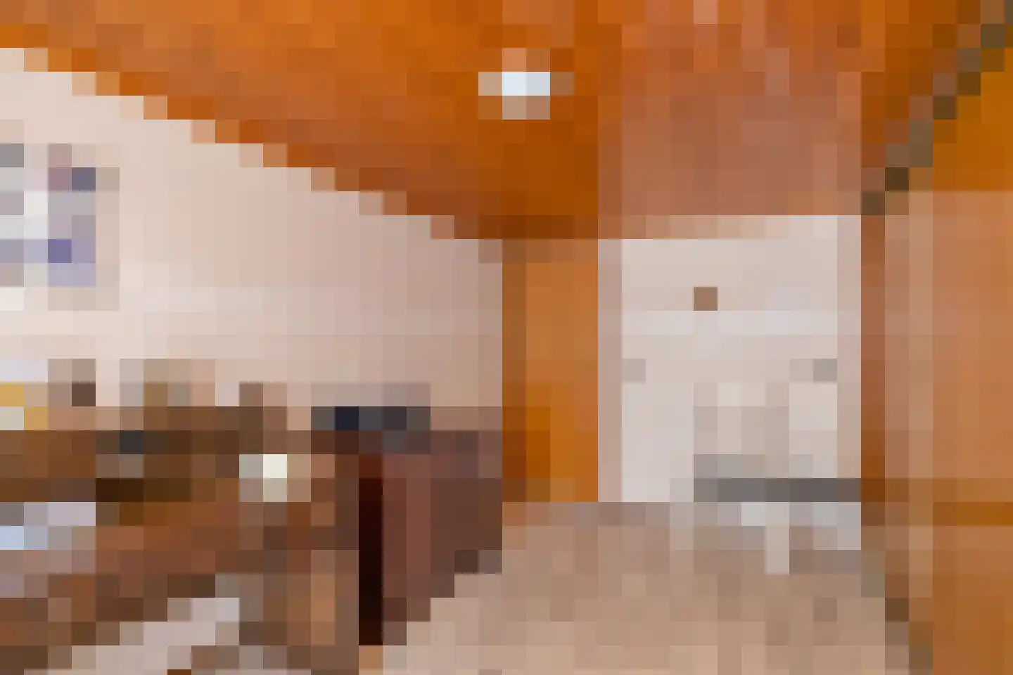 Noorderpad 1 Opperdoes thumbnail 37
