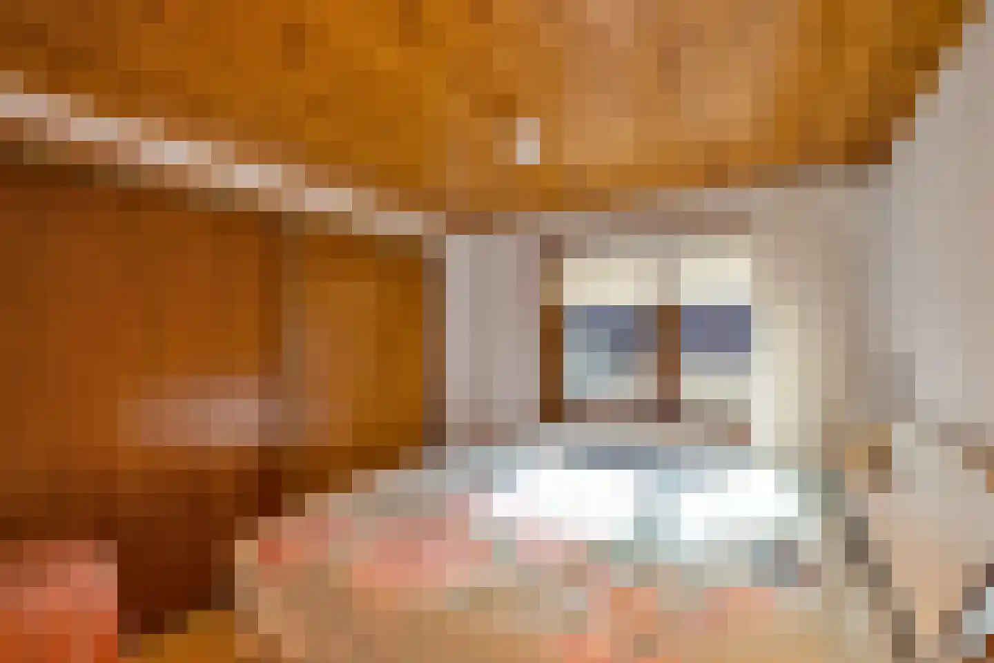 Noorderpad 1 Opperdoes thumbnail 39