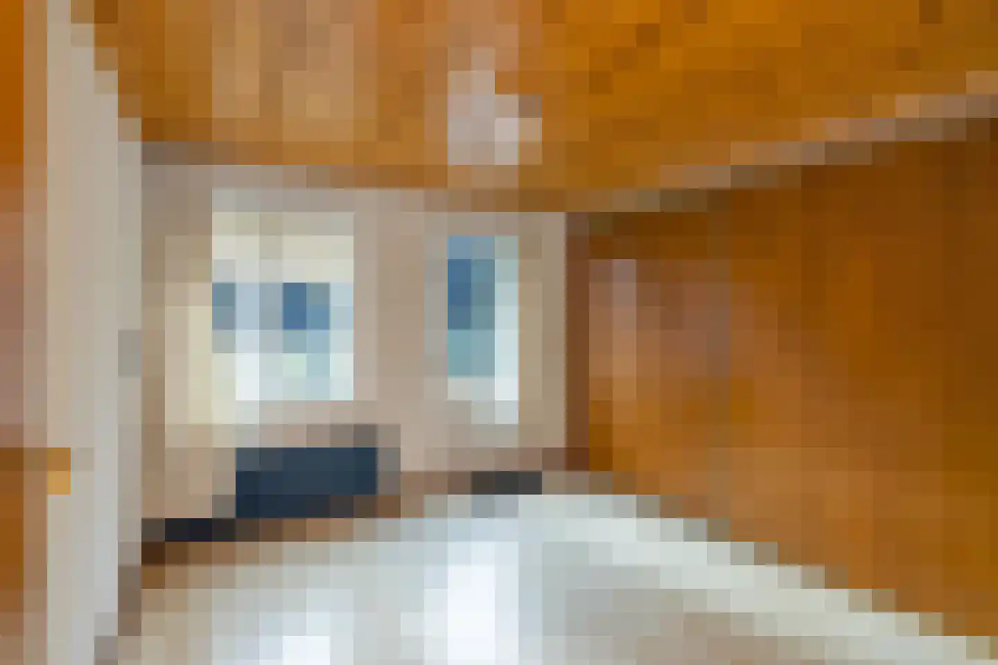 Noorderpad 1 Opperdoes thumbnail 41
