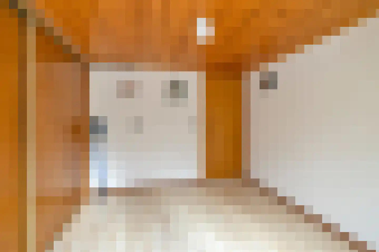 Noorderpad 1 Opperdoes thumbnail 42