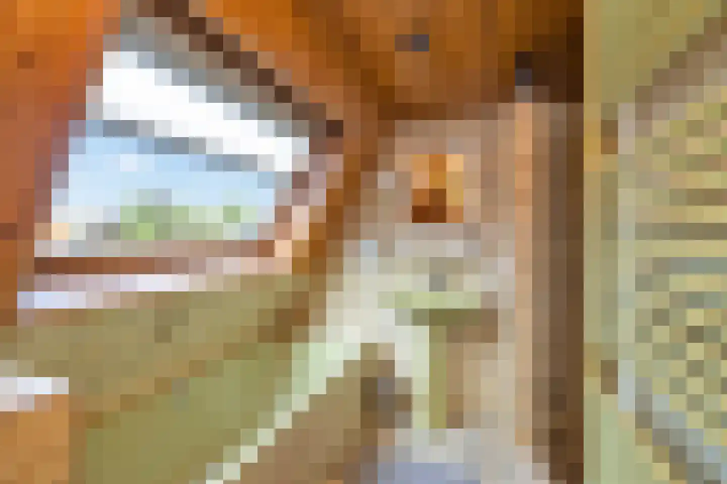 Noorderpad 1 Opperdoes thumbnail 43