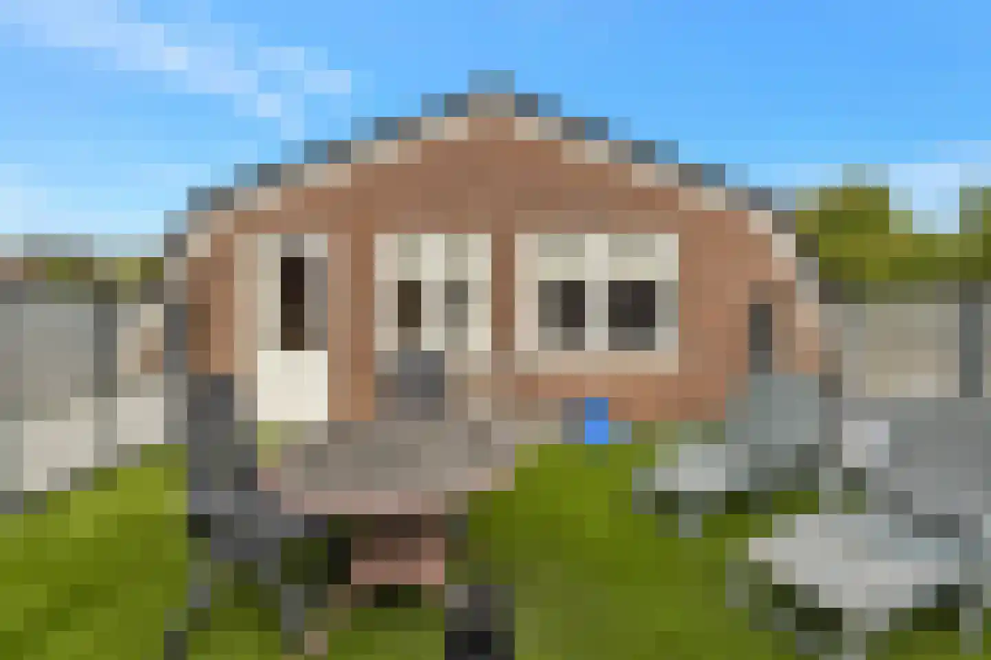Noorderpad 1 Opperdoes thumbnail 49