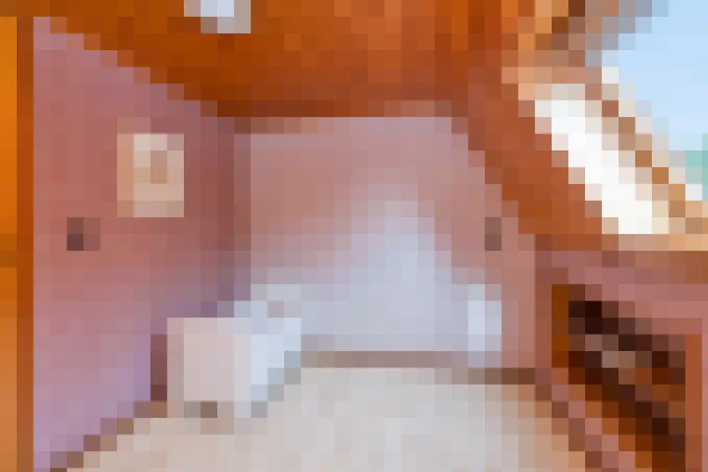 Noorderpad 1 Opperdoes thumbnail 51