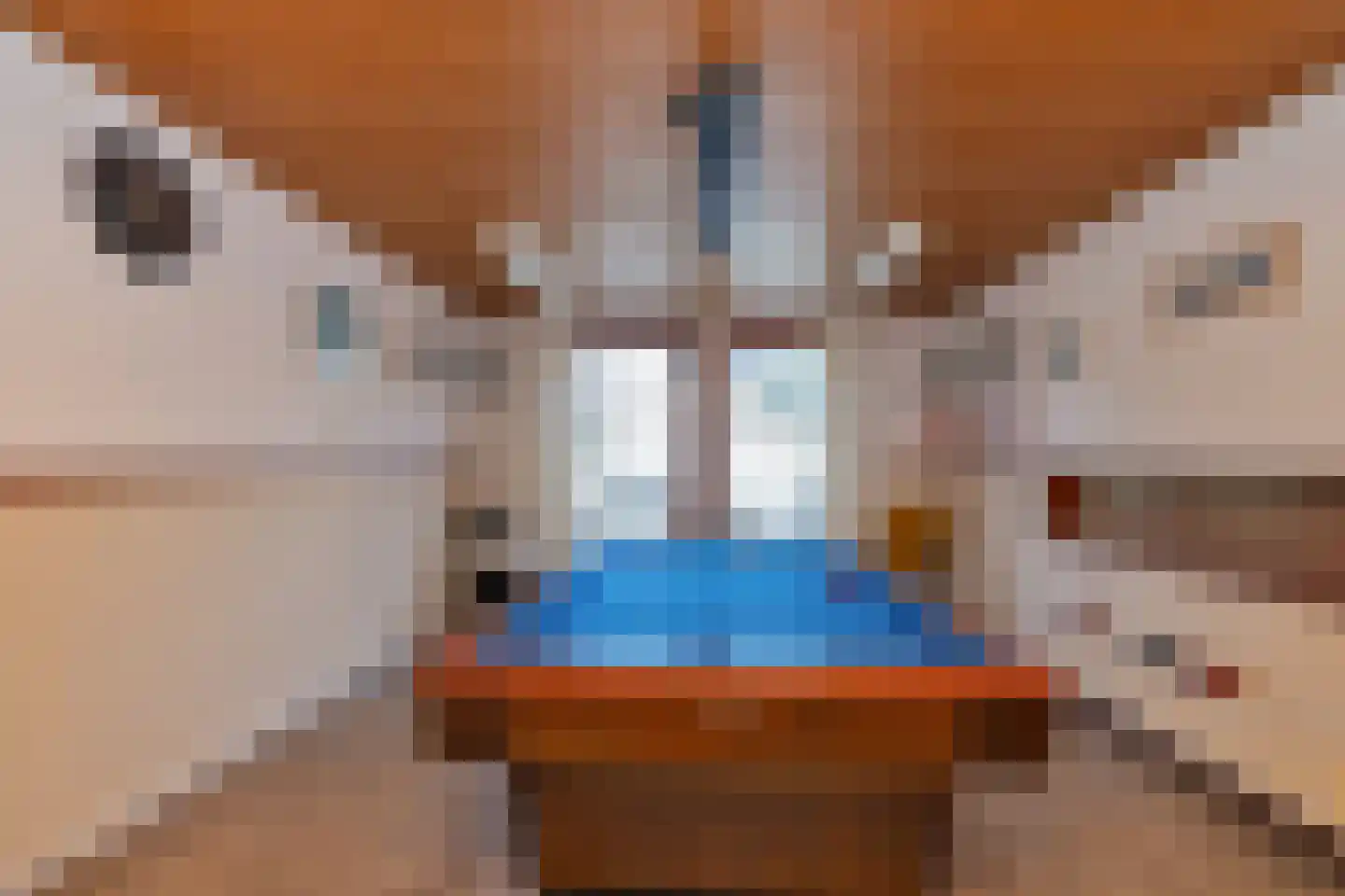 Noorderpad 1 Opperdoes thumbnail 62
