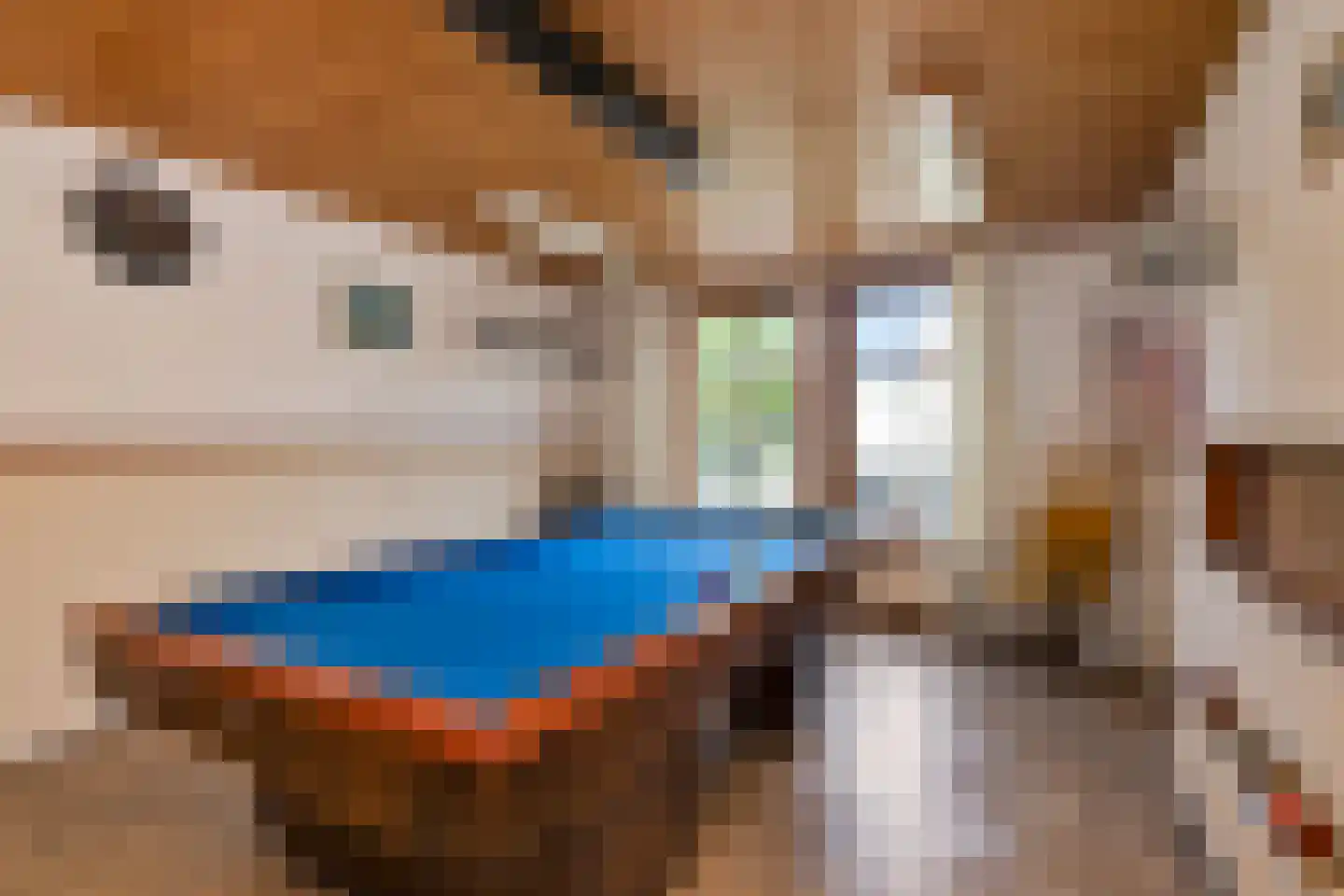 Noorderpad 1 Opperdoes thumbnail 63