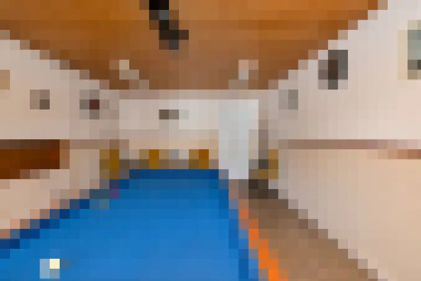 Noorderpad 1 Opperdoes thumbnail 64