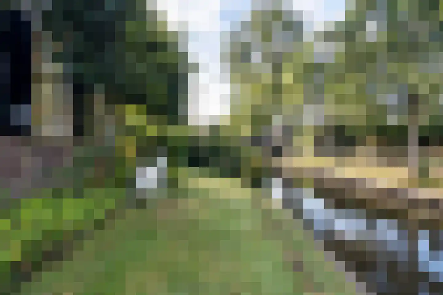 Noorderpad 12 Giethoorn thumbnail 11