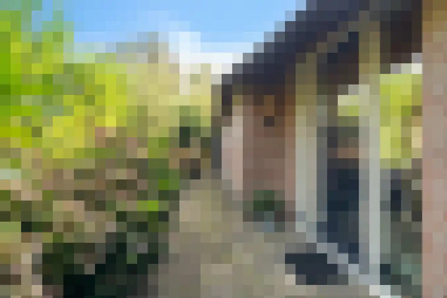 Noorderpad 12 Giethoorn thumbnail 14