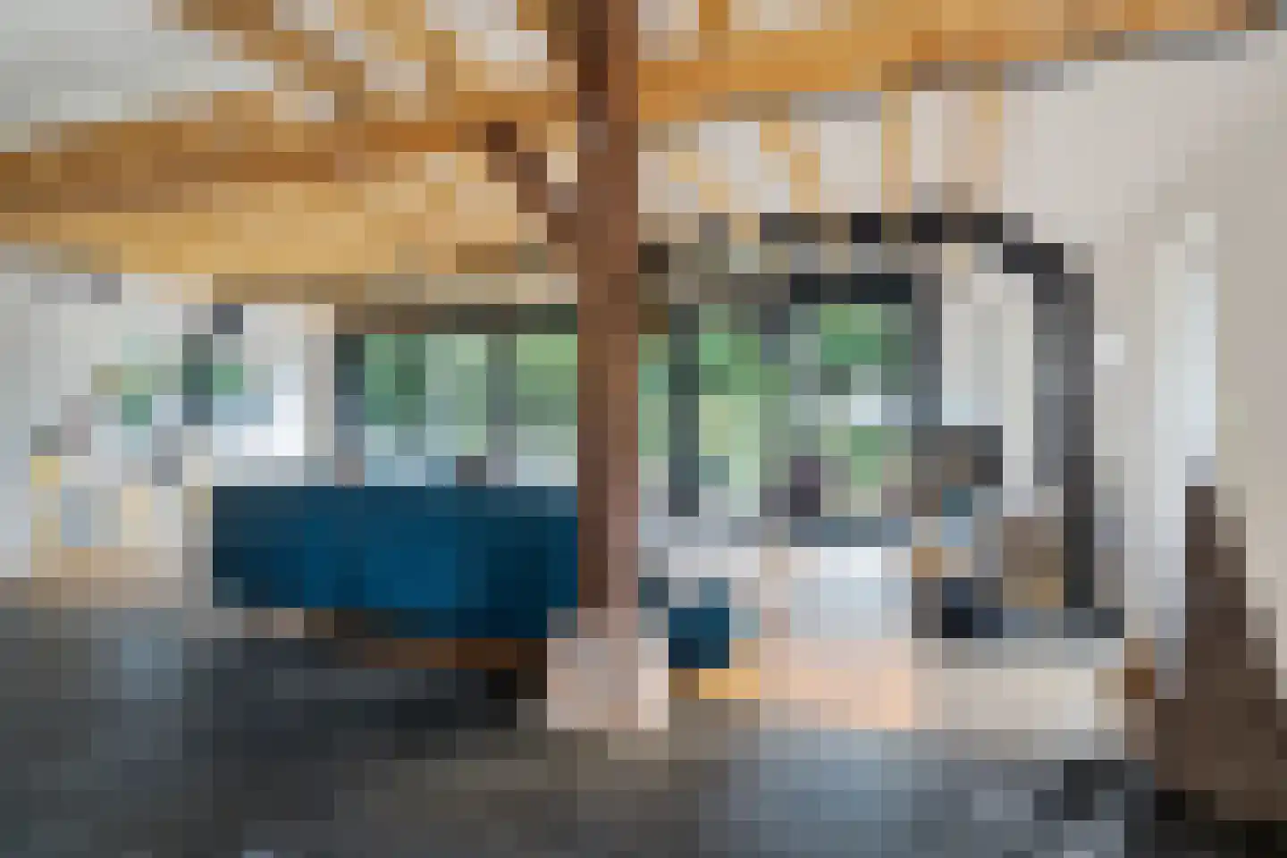 Noorderpad 12 Giethoorn thumbnail 19