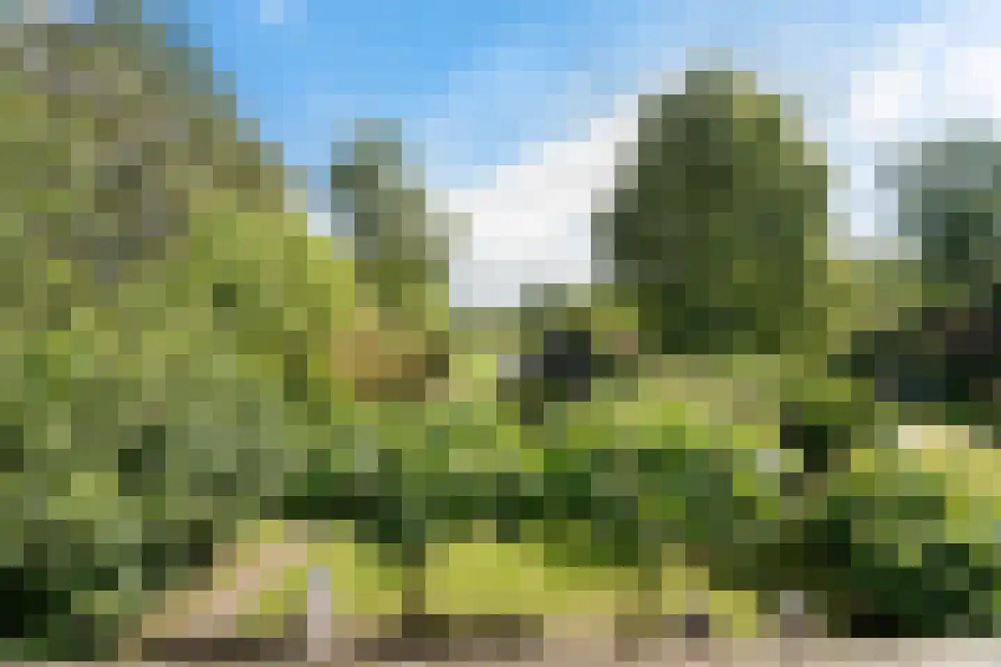 Noorderpad 12 Giethoorn thumbnail 42
