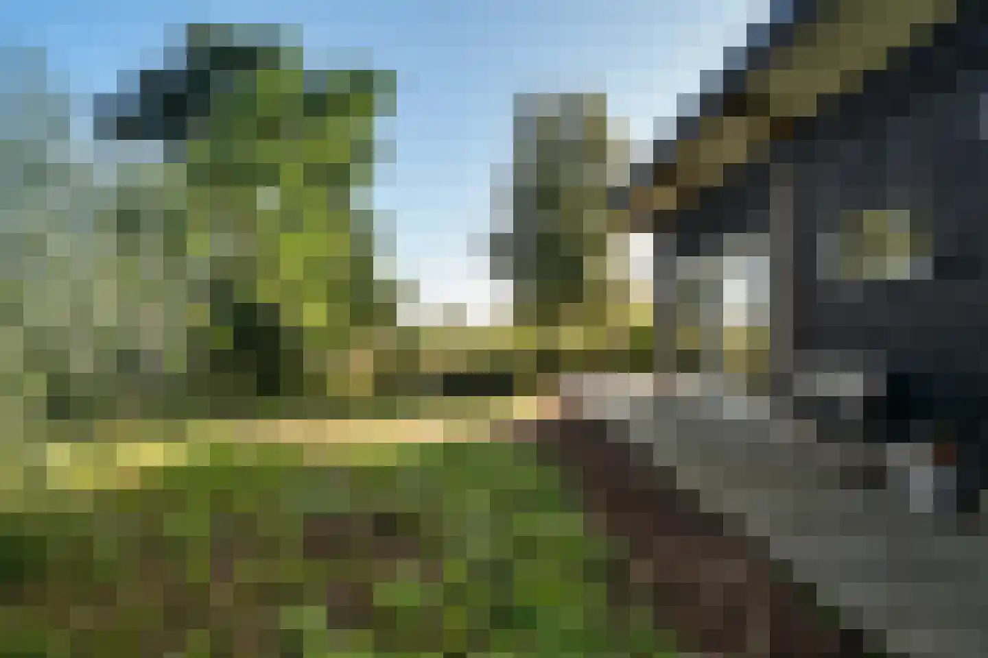 Noorderpad 12 Giethoorn thumbnail 50