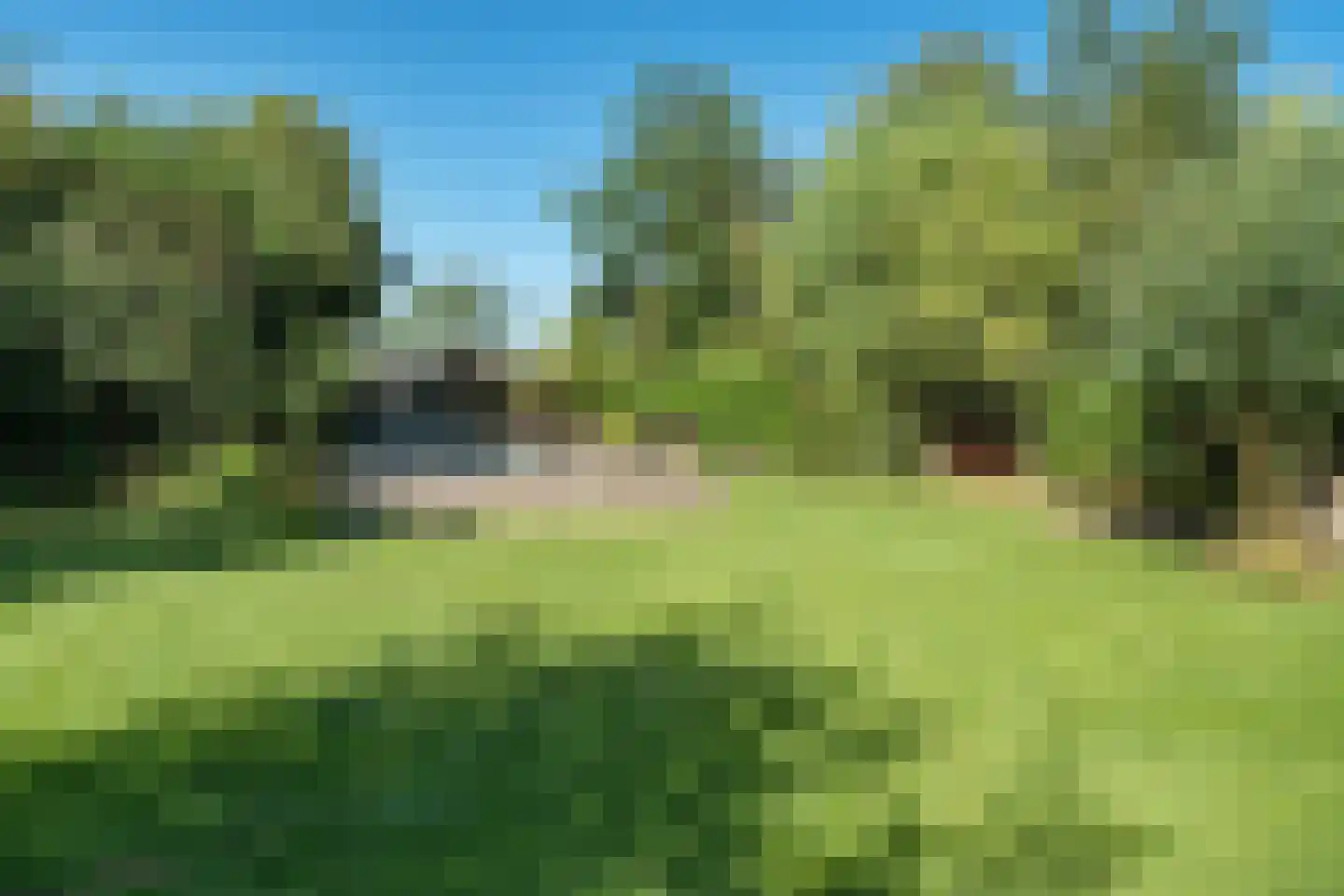 Noorderpad 12 Giethoorn thumbnail 56