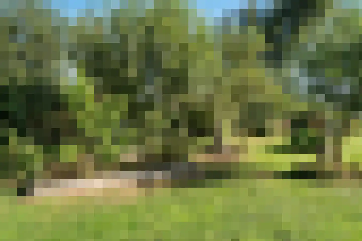 Noorderpad 12 Giethoorn thumbnail 57