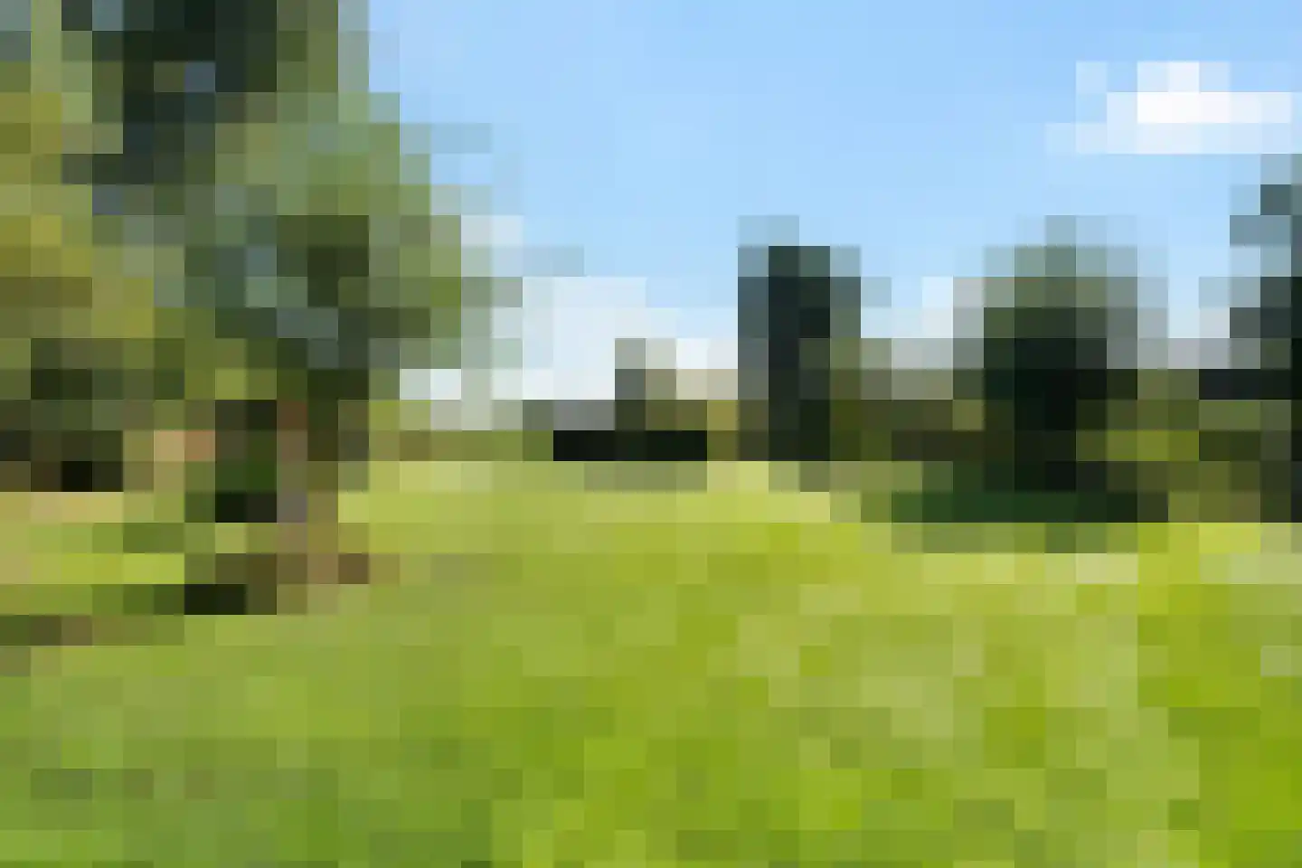 Noorderpad 12 Giethoorn thumbnail 58