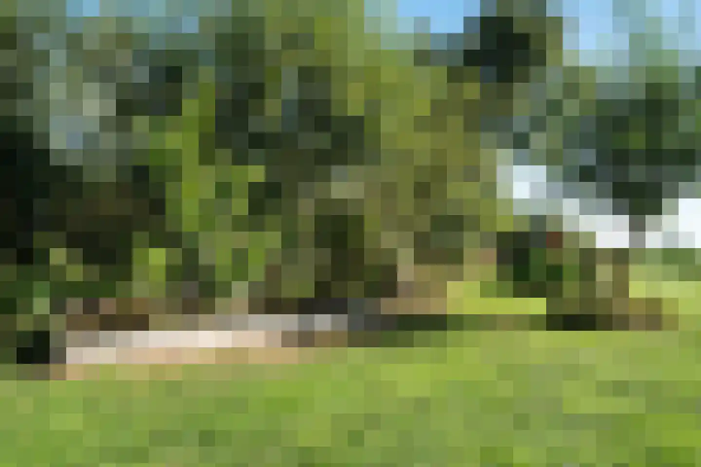 Noorderpad 12 Giethoorn thumbnail 60
