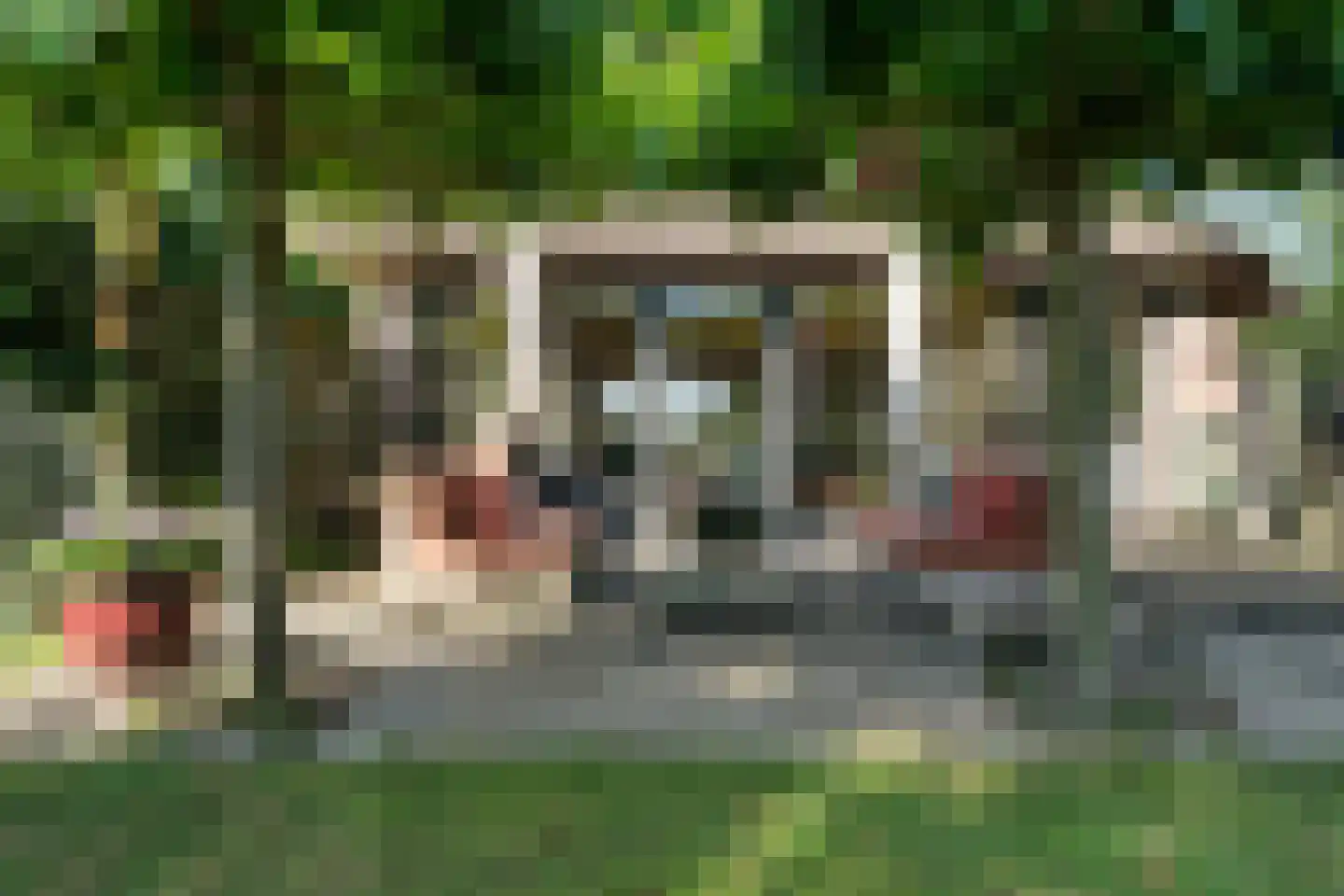 Noorderpad 12 Giethoorn thumbnail 63