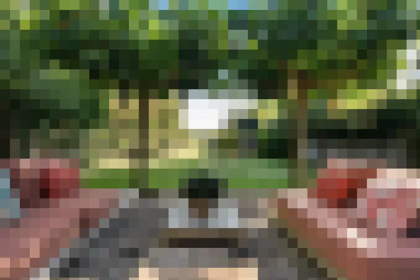 Noorderpad 12 Giethoorn thumbnail 64