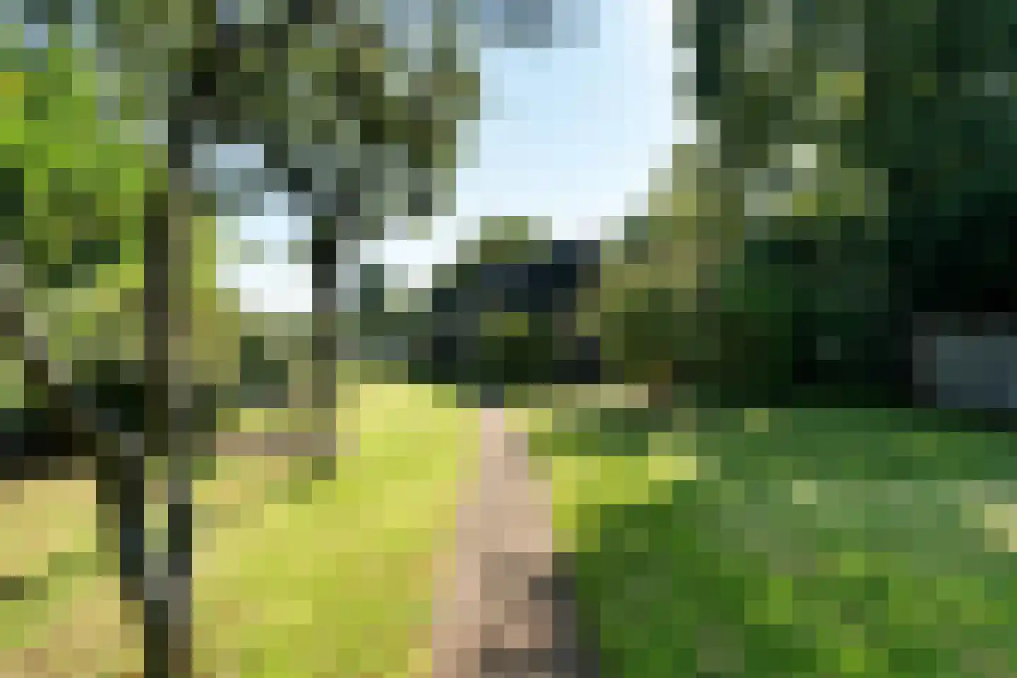 Noorderpad 12 Giethoorn thumbnail 66