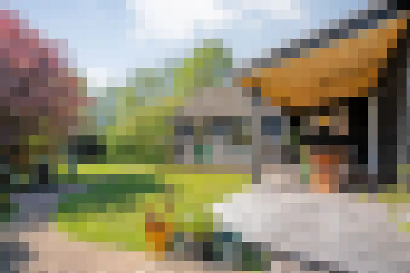 Noorderpad 3 Giethoorn foto 3
