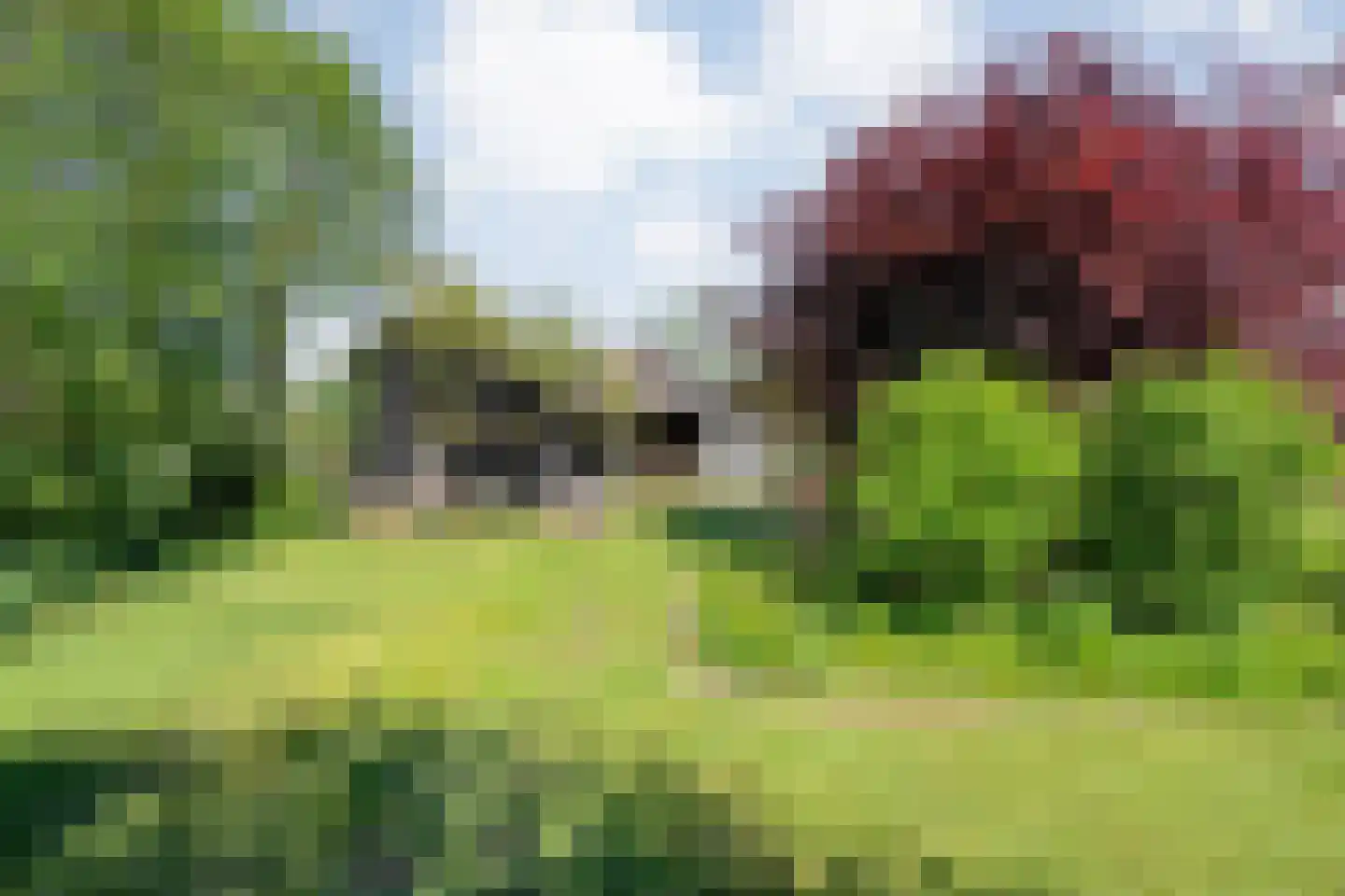 Noorderpad 3 Giethoorn thumbnail 38