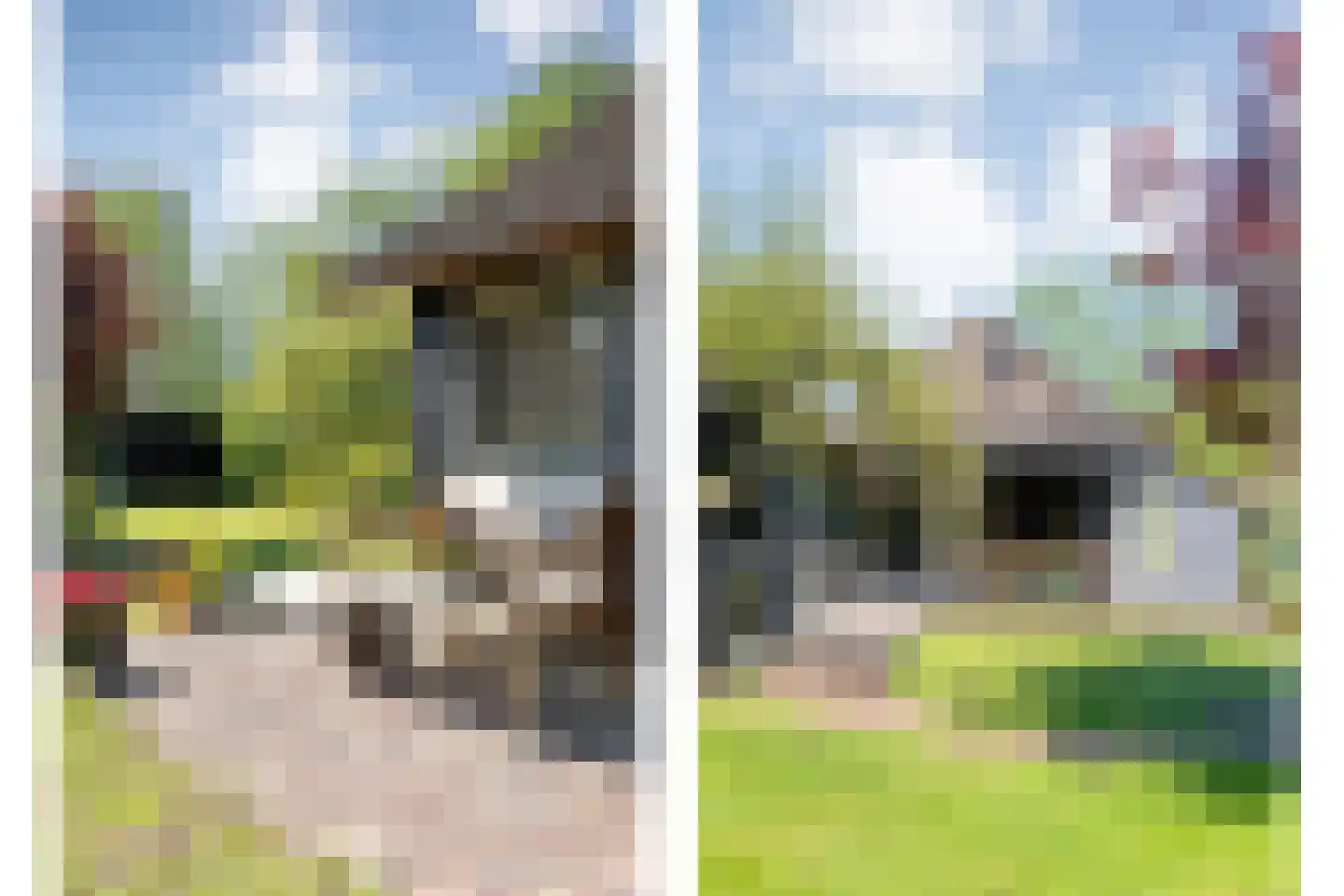 Noorderpad 3 Giethoorn thumbnail 39