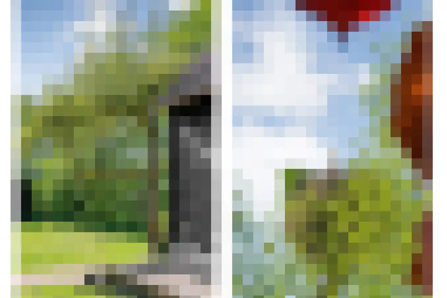 Noorderpad 3 Giethoorn thumbnail 41