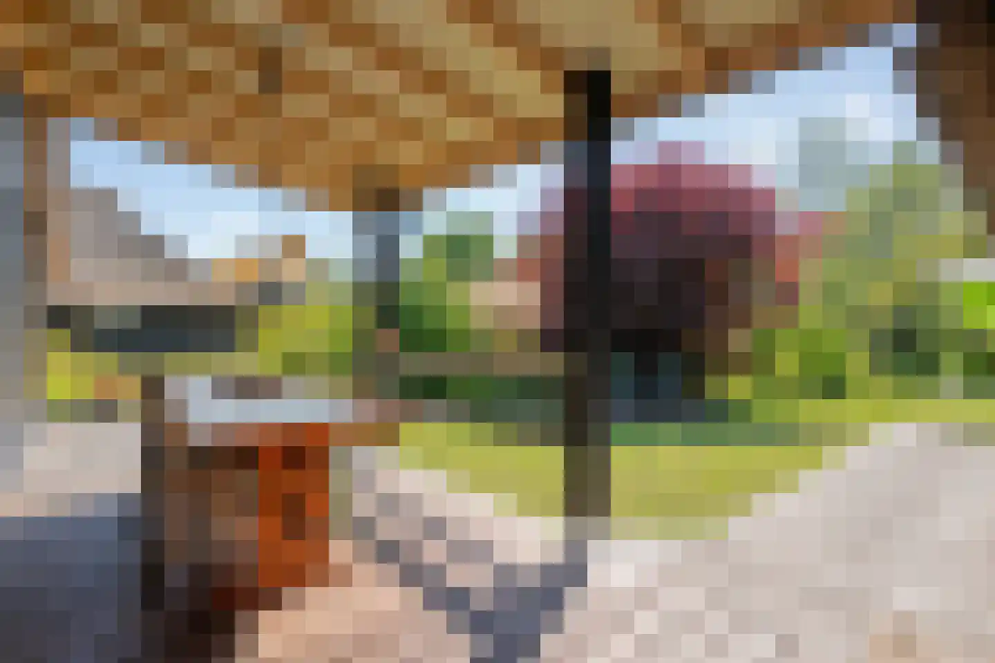 Noorderpad 3 Giethoorn thumbnail 42