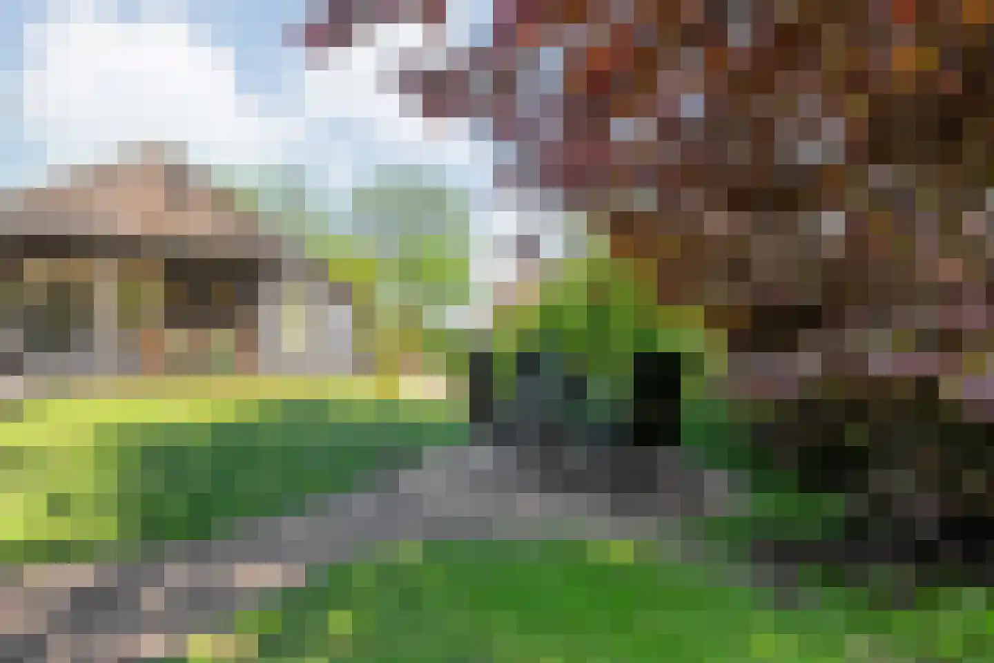 Noorderpad 3 Giethoorn thumbnail 44