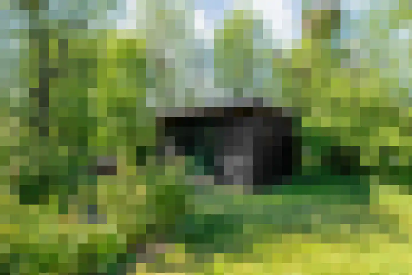 Noorderpad 3 Giethoorn thumbnail 45