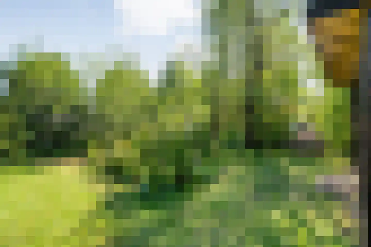 Noorderpad 3 Giethoorn thumbnail 46