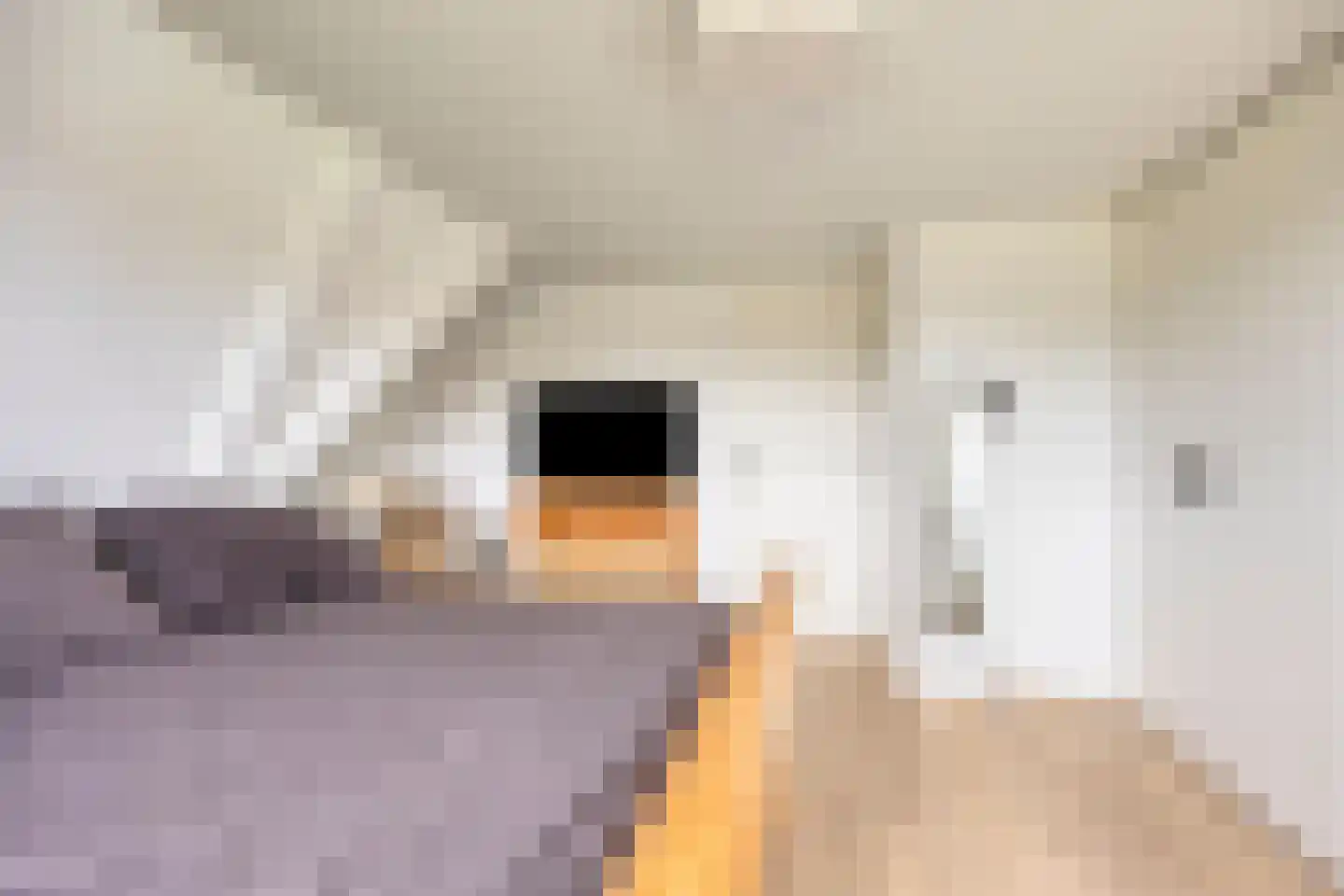 Noorderpad 38 Zuidoostbeemster thumbnail 14