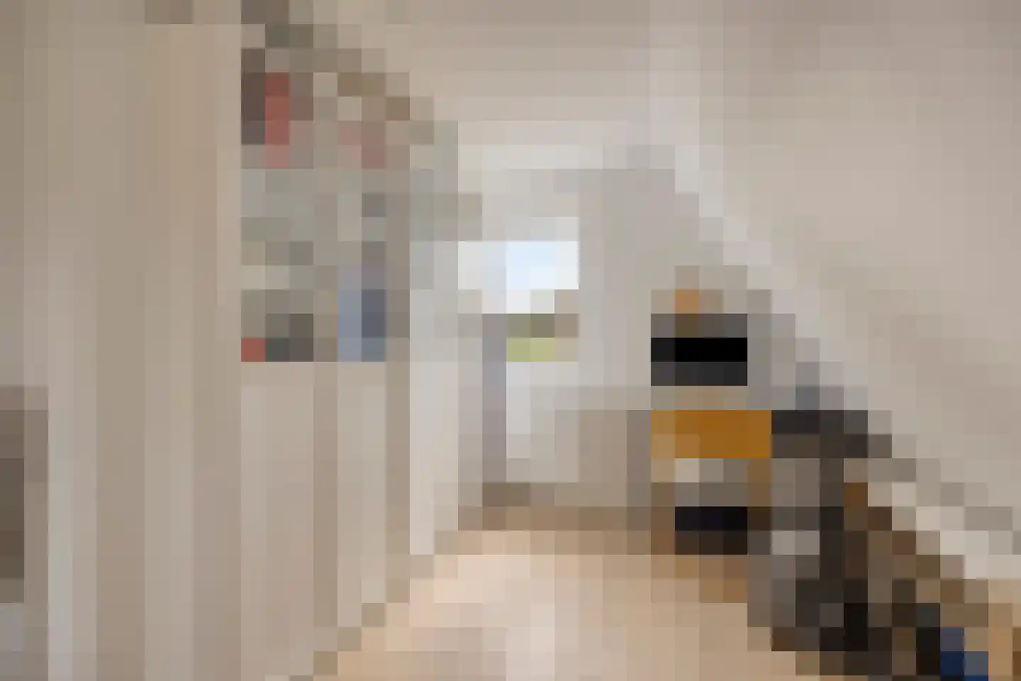Noorderpad 38 Zuidoostbeemster thumbnail 17