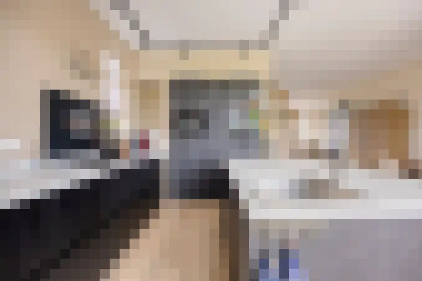 Noorderpad 38 Zuidoostbeemster thumbnail 4