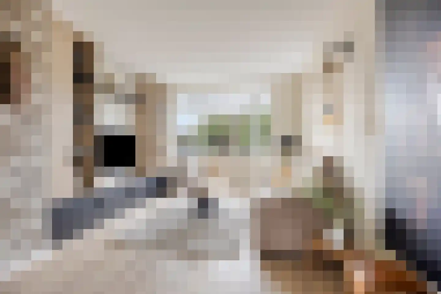 Noorderpad 38 Zuidoostbeemster thumbnail 7