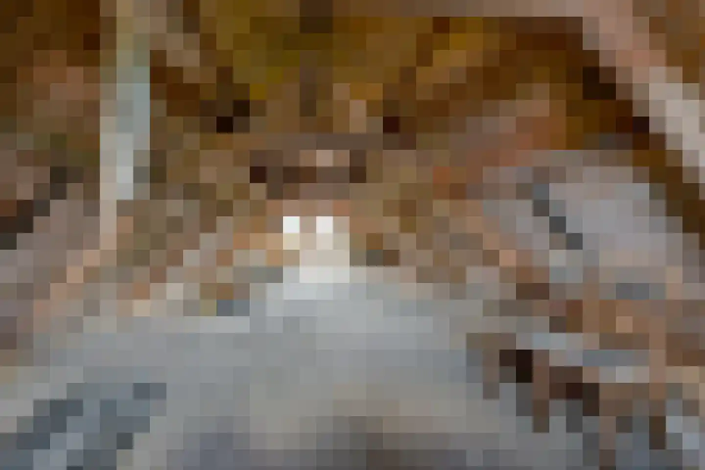 Noorderpad 57 Opperdoes thumbnail 31