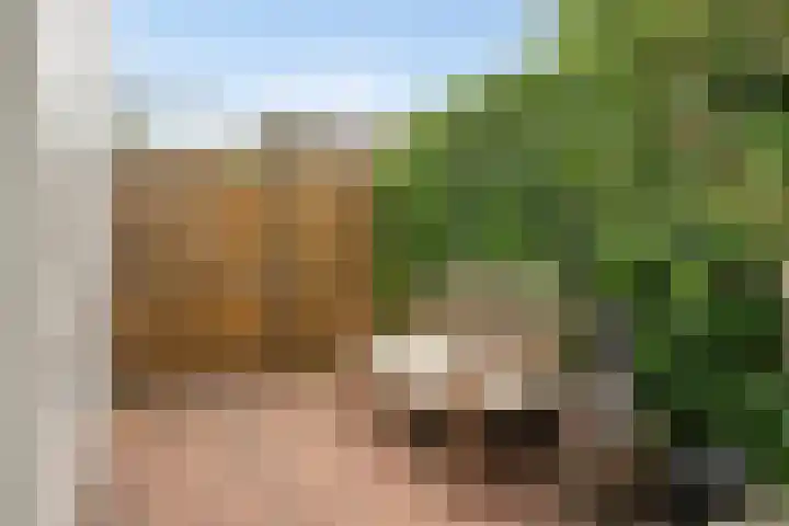 Noorderparklaan 257 Bergschenhoek thumbnail 18
