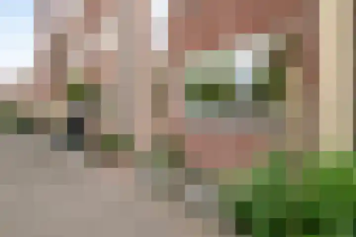 Noorderparklaan 257 Bergschenhoek thumbnail 4