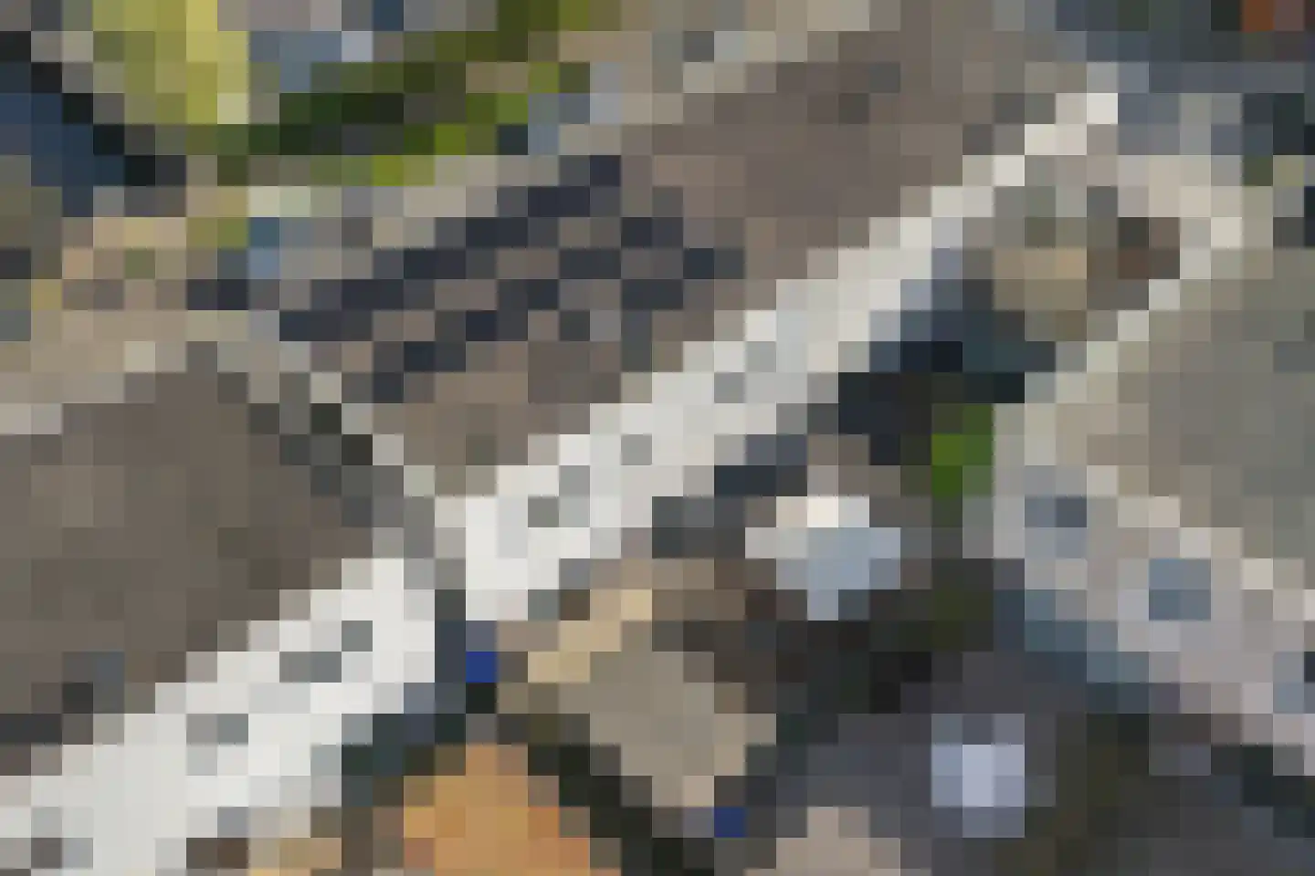 Noorderplaat 6 De Meern thumbnail 32