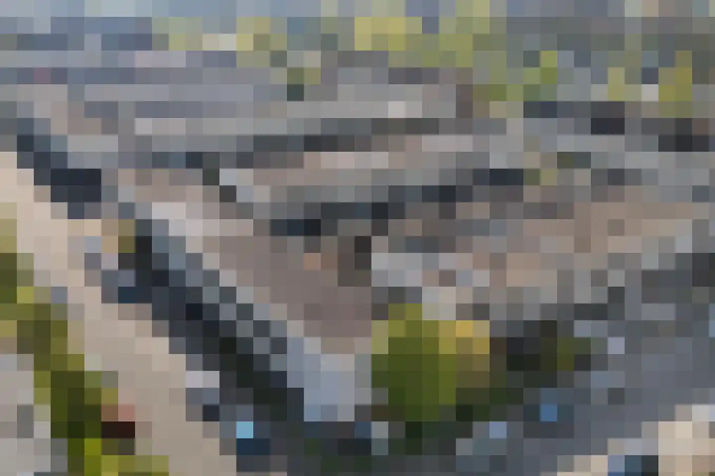Noorderplaat 6 De Meern thumbnail 34