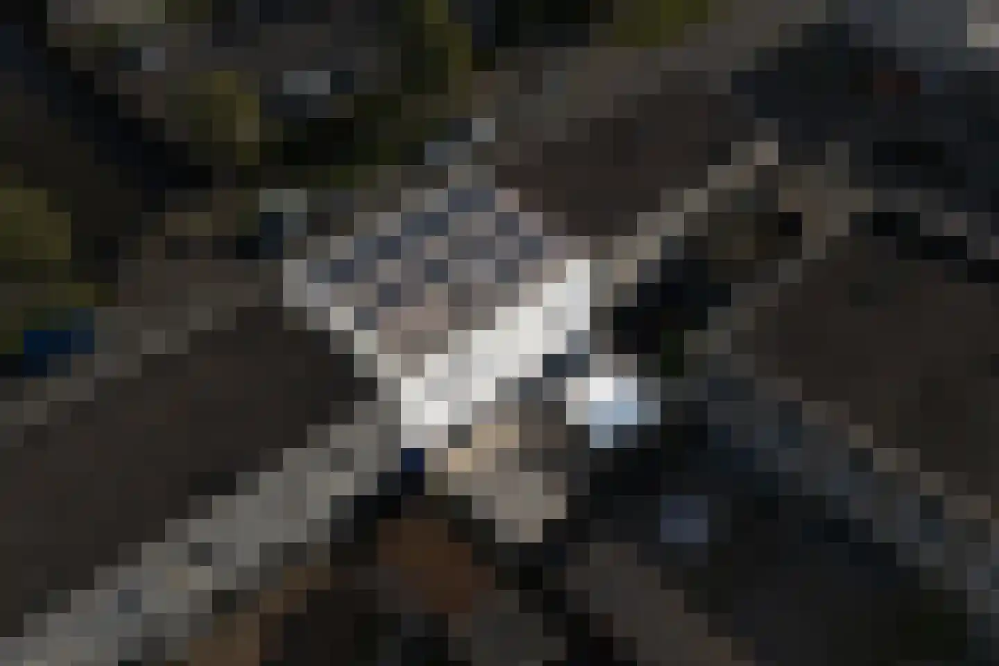 Noorderplaat 6 De Meern thumbnail 39