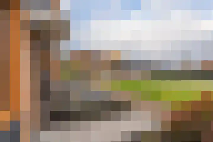 Noorderplantsoen 20 Assen thumbnail 10